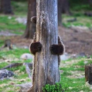 Meet your Posher, Sandy